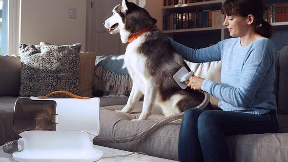 Pet Grooming Vacuum Cleaner, Quiet, Powerful 12000PA Suction - Aroflit