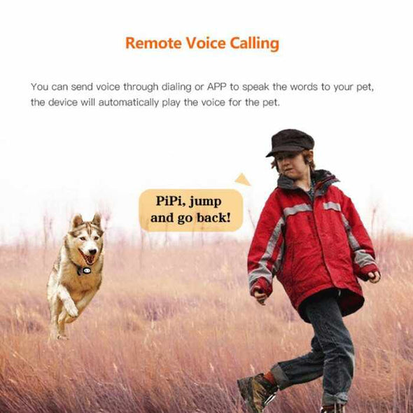Pet Locator with GPS Dog Finder ( 30m Precision ) – GPS/WiFi/LBS – For Puppy - Aroflit