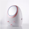 Portable LED Mirror Makeup Organizer with USB Charging - Aroflit