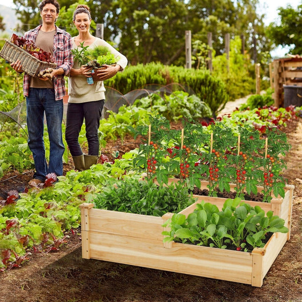 Raised Wooden Multi - Tier Planter Box for Vegetables, Herbs & Flowers - Aroflit