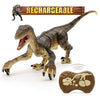 Remote Control Dinosaur Velociraptor, Realistic Walking & Roaring Toy - Aroflit