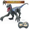 Remote Control Dinosaur Velociraptor, Realistic Walking & Roaring Toy - Aroflit