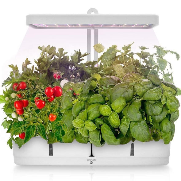 Indoor Hydroponic Garden with LED Grow Lights for Fresh Herbs, Veggies