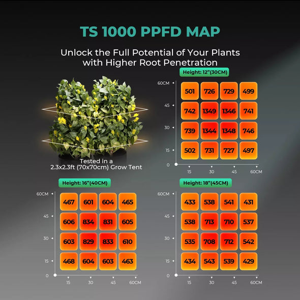 Full Spectrum LED Grow Lights for Indoor Plants, Energy Efficient