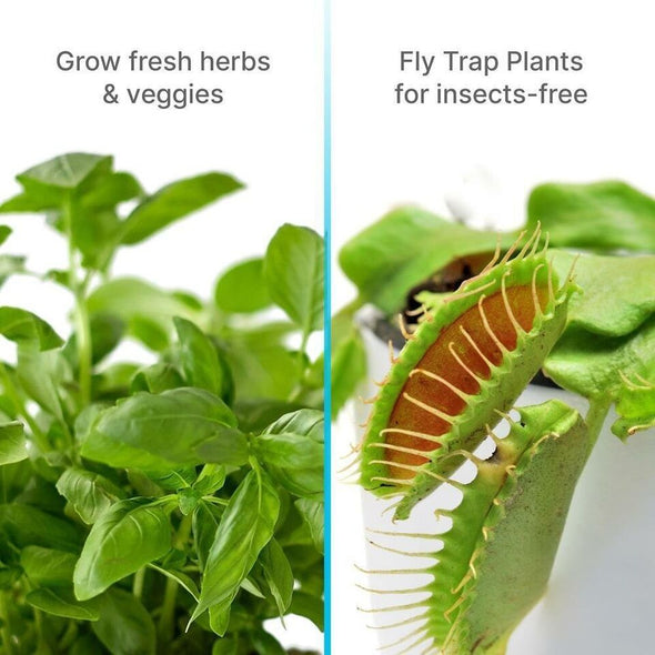 Indoor Hydroponic Garden with LED Grow Lights for Fresh Herbs, Veggies