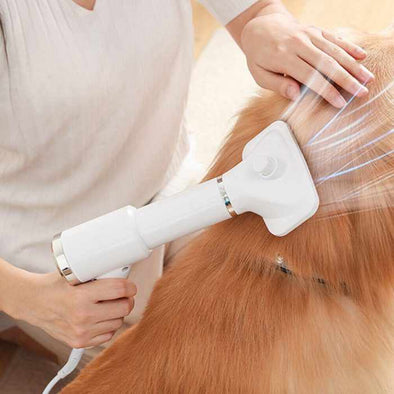 Shiner™ 2 - in - 1 Dog Hair Dryer Brush - Aroflit