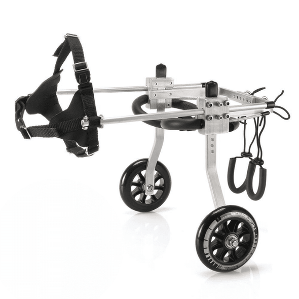 Small Dog Back Legs Wheelchair - Aroflit