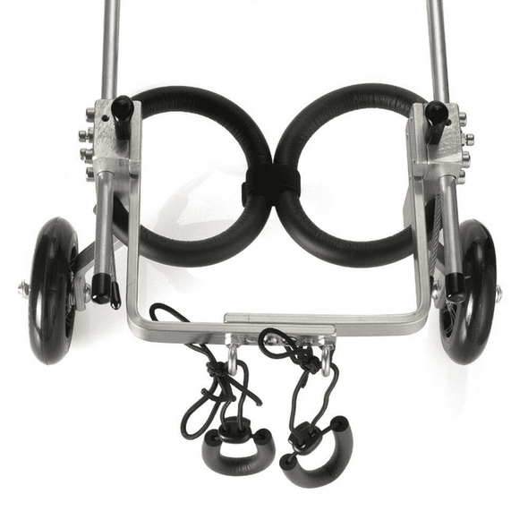 Small Dog Back Legs Wheelchair - Aroflit