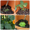 Stand Stacking Planters for Strawberries, Herbs, and Flowers - Aroflit