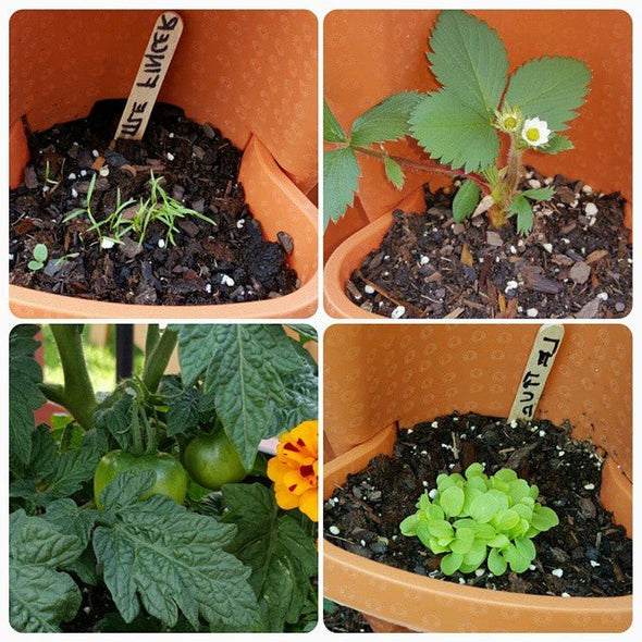 Stand Stacking Planters for Strawberries, Herbs, and Flowers - Aroflit