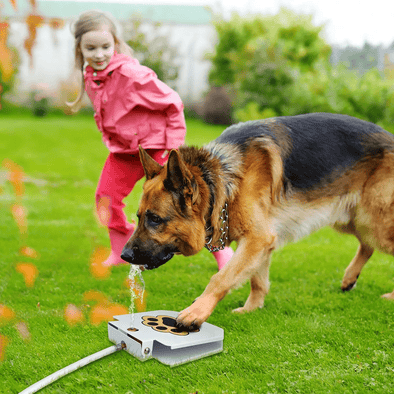 Step - On Dog Water Fountain, Interactive & Leak - Proof Hydration - Aroflit