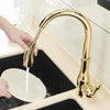 TapnGo™ Mixer Kitchen Tap With Pull Out Hose and Spray Head - Aroflit