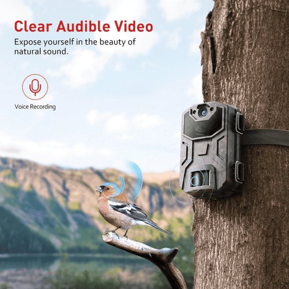 Trail Wildlife Deer Hunting Game Security Camera - Aroflit