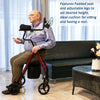 Upgraded Senior Upright Walker with Adjustable Seat, Armrests & Brakes - Aroflit
