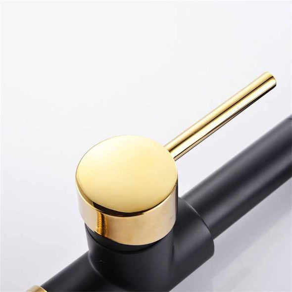WaterShine™ Spring Kitchen Pull out Tap for Kitchen Sink - Aroflit