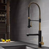 WaterShine™ Spring Kitchen Pull out Tap for Kitchen Sink - Aroflit