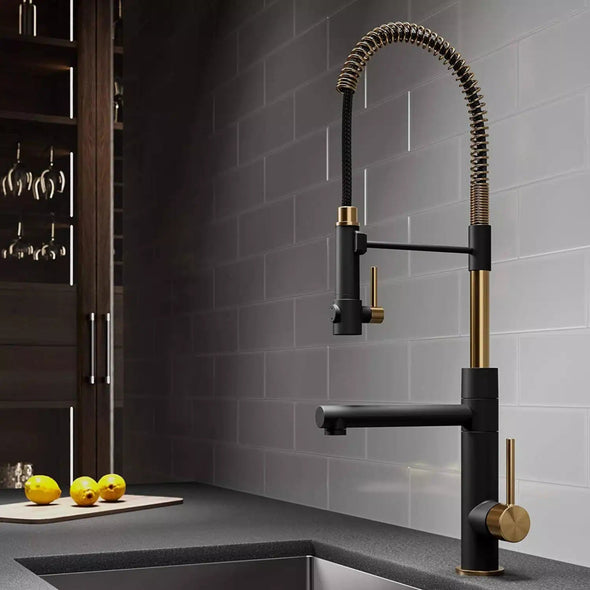 WaterShine™ Spring Kitchen Pull out Tap for Kitchen Sink - Aroflit