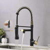 WaterShine™ Spring Kitchen Pull out Tap for Kitchen Sink - Aroflit