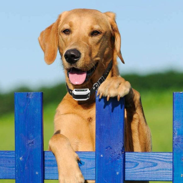 Wireless Invisible Underground Electric Dog Training Fence Set - Aroflit