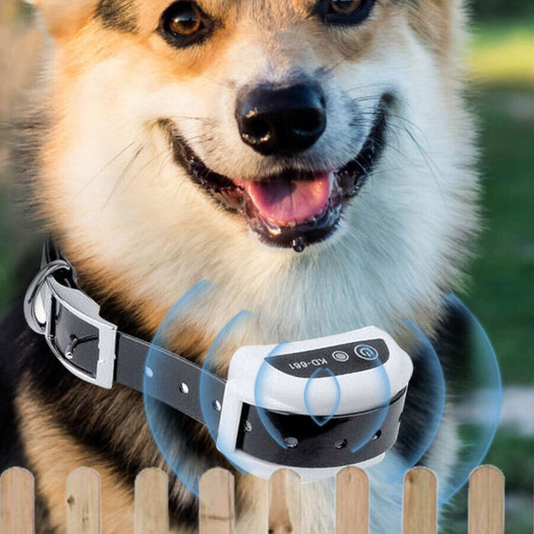 Wireless Invisible Underground Electric Dog Training Fence Set - Aroflit