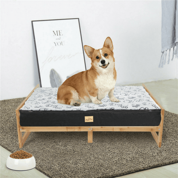 Wooden Elevated Pet Dog Bed Cots - Aroflit