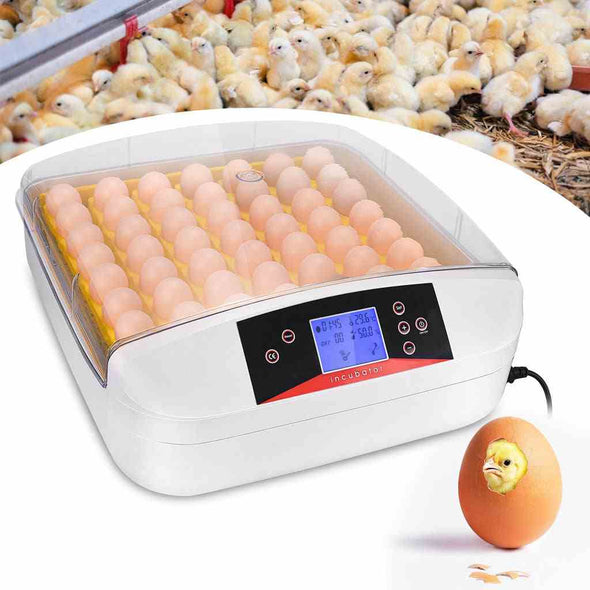 55 Digital chicken egg incubator Hatcher with automatic egg turning - Aroflit