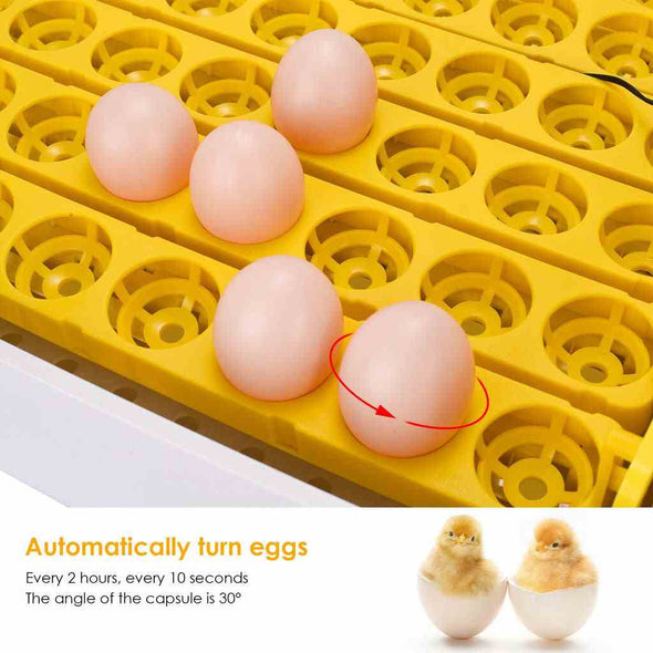 55 Digital chicken egg incubator Hatcher with automatic egg turning - Aroflit