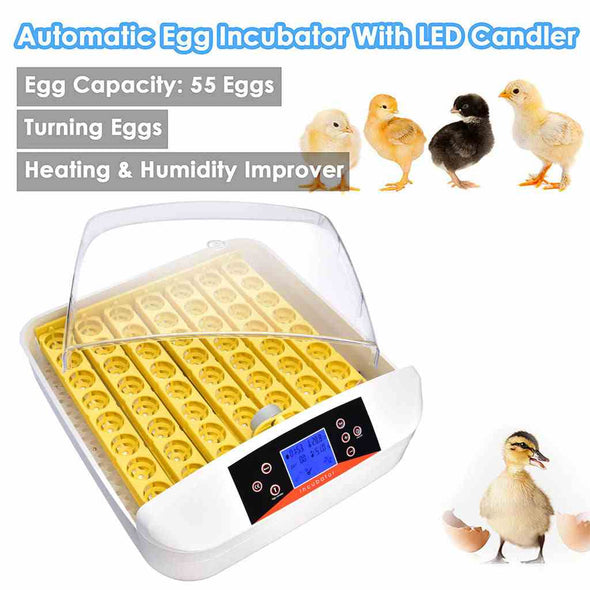 55 Digital chicken egg incubator Hatcher with automatic egg turning - Aroflit