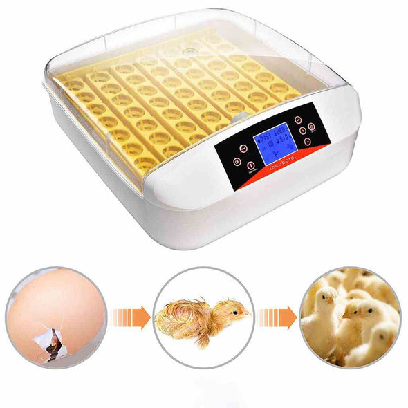 55 Digital chicken egg incubator Hatcher with automatic egg turning - Aroflit