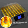 55 Digital chicken egg incubator Hatcher with automatic egg turning - Aroflit