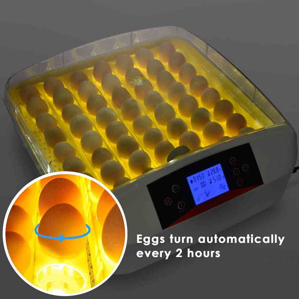 55 Digital chicken egg incubator Hatcher with automatic egg turning - Aroflit