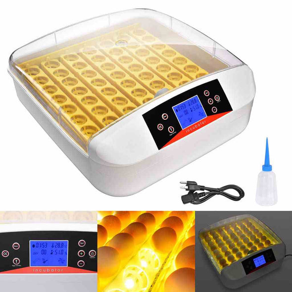 55 Digital chicken egg incubator Hatcher with automatic egg turning - Aroflit