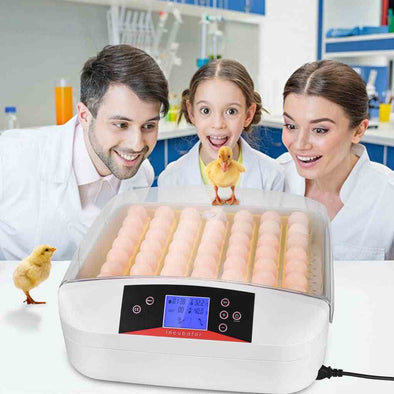 55 Digital chicken egg incubator Hatcher with automatic egg turning - Aroflit