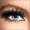 8D Quantum Magnetic Eyelashes with Soft Magnet Technology - Aroflit