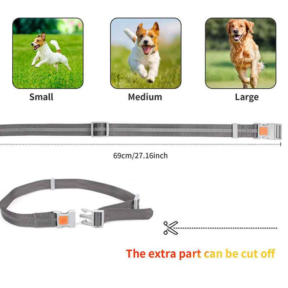 Aroflit™ Dog Training Collar - Aroflit