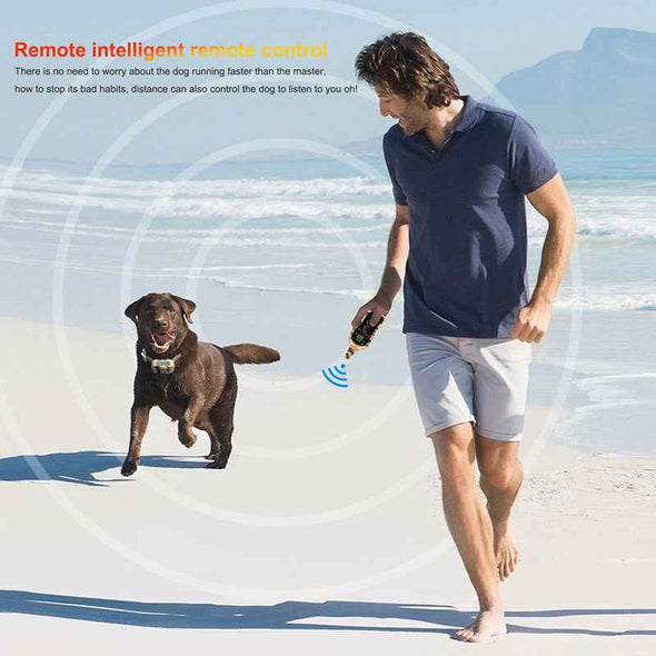 Aroflit™ Dog Training Collar - Aroflit