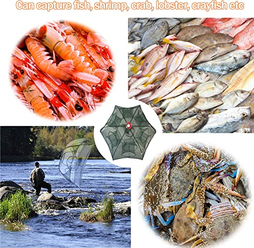 Automatic Folding Fish Trap - Aroflit
