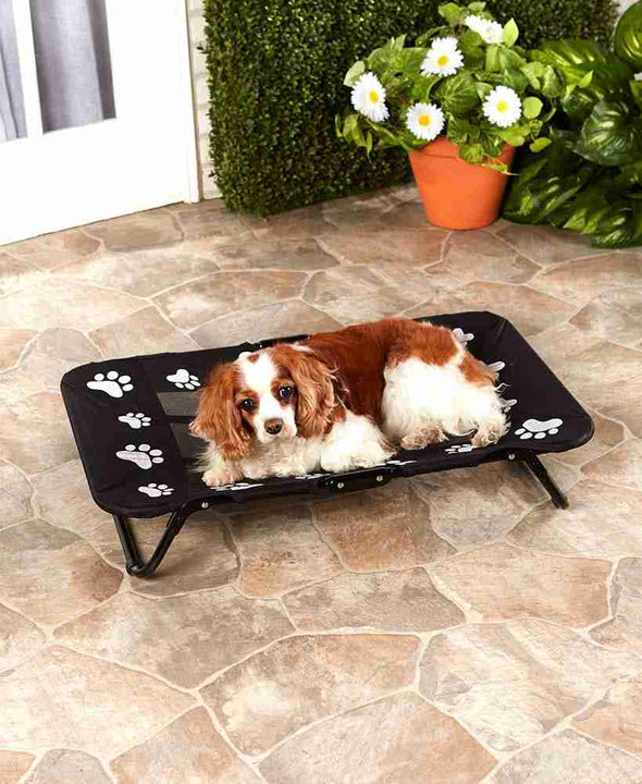 Portable Elevated Pet Bed - Aroflit